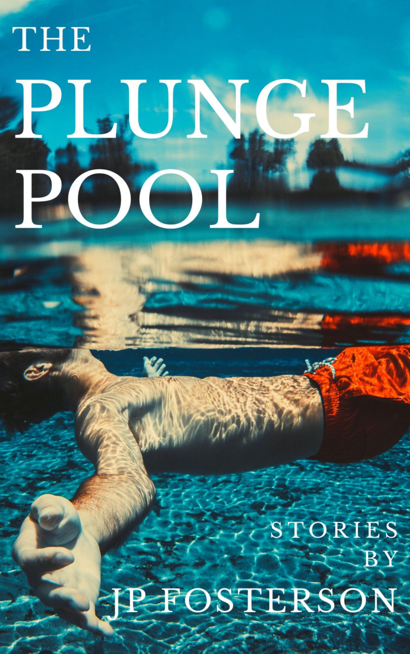 The Plunge Pool Cover